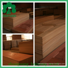 HDF/MDF Veneer Moulded Door Skin for Interior Door